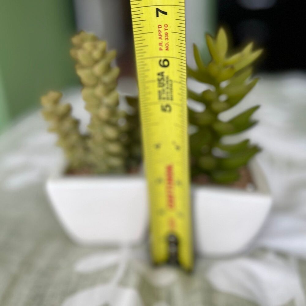 Unique Faux Succulent Desert Plants Potted Duo Home Decor Accents - Picture 6 of 6